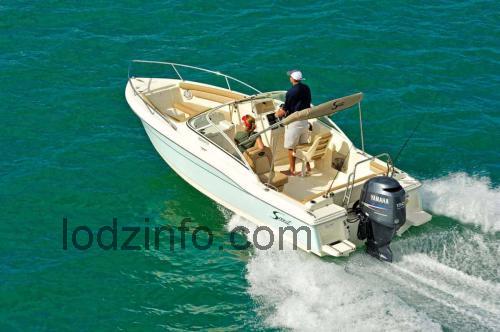 Scout 210 Dorado opinie i specyfikacja